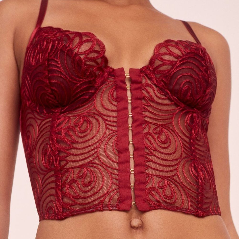 Victoria's Secret For Love And Lemons "After Dark" Bustier - VALENTINE ROSES